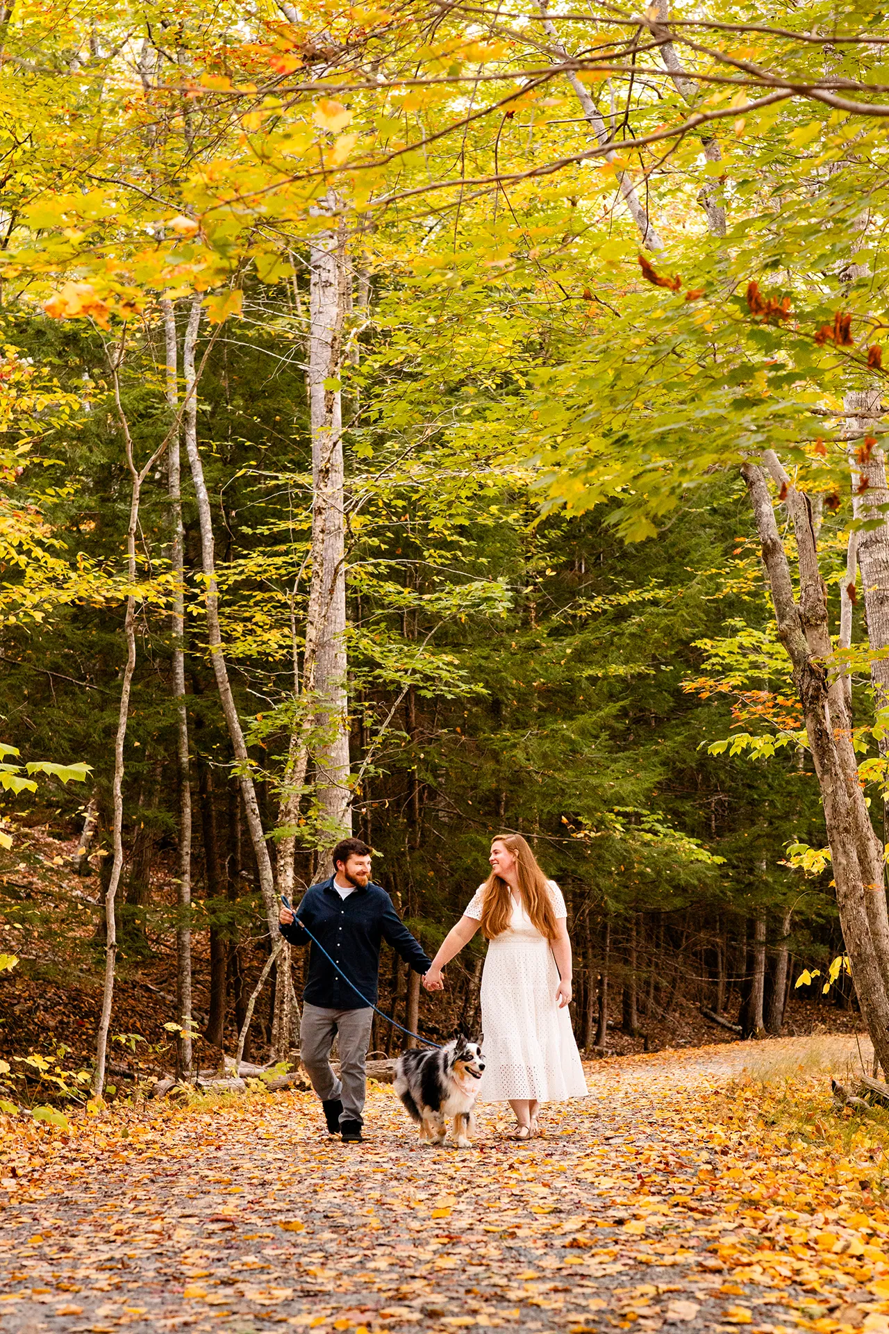 An engaged couple walk with their dog during a fall engagement session on the Hemlock Trail at Acadia National Park in Bar Harbor, Maine.