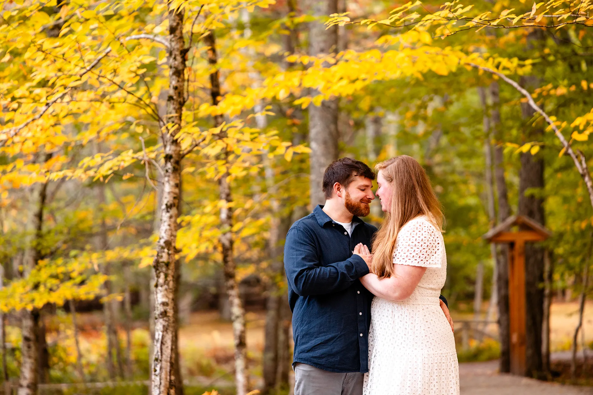 A man and woman rub noses during a fall engagement session near the Wild Garden of Acadia at Acadia National Park in Bar Harbor, Maine.