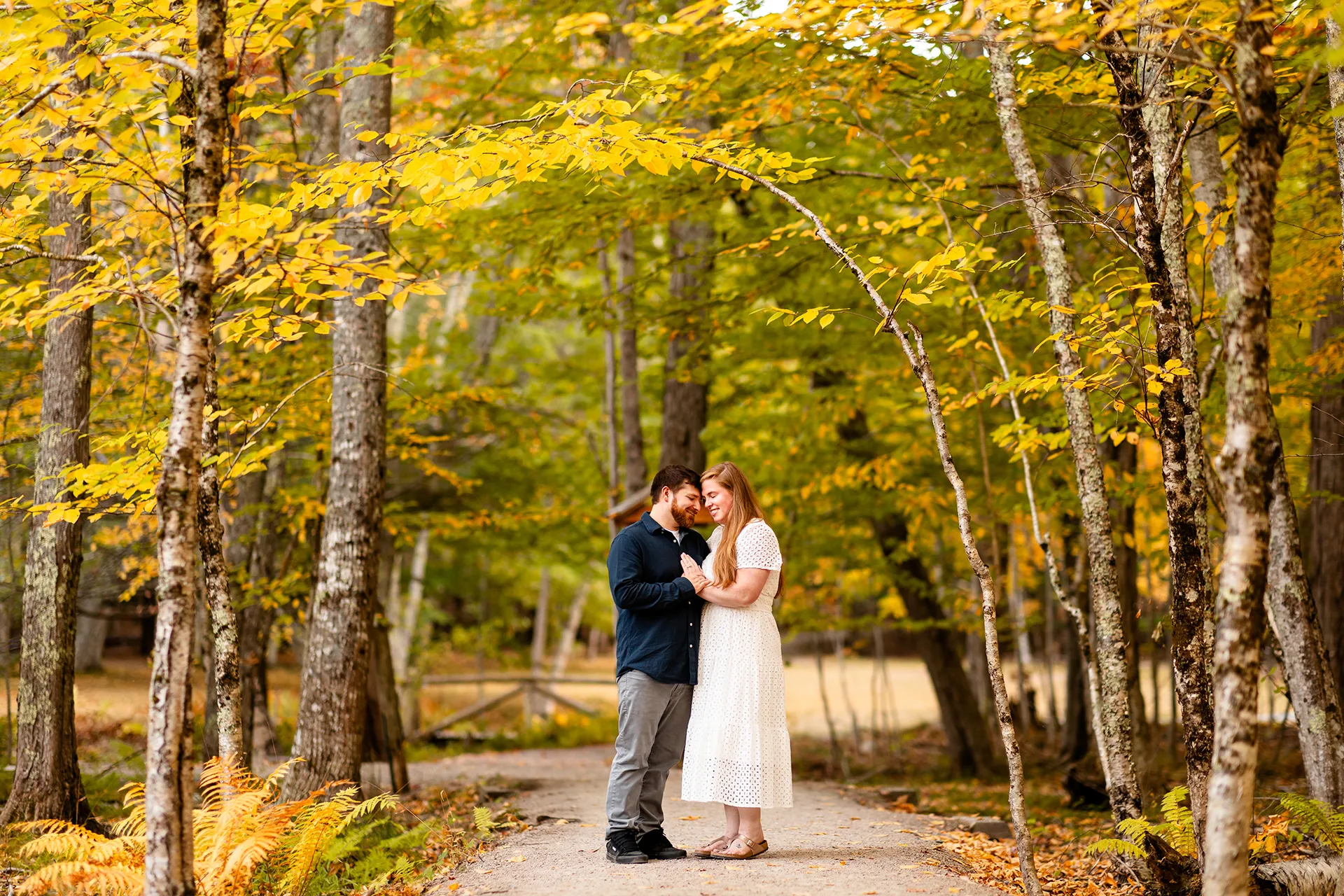 A man and woman rest their foreheads together during an engagement session near the Wild Gardens of Acadia at Acadia National Park in Maine.