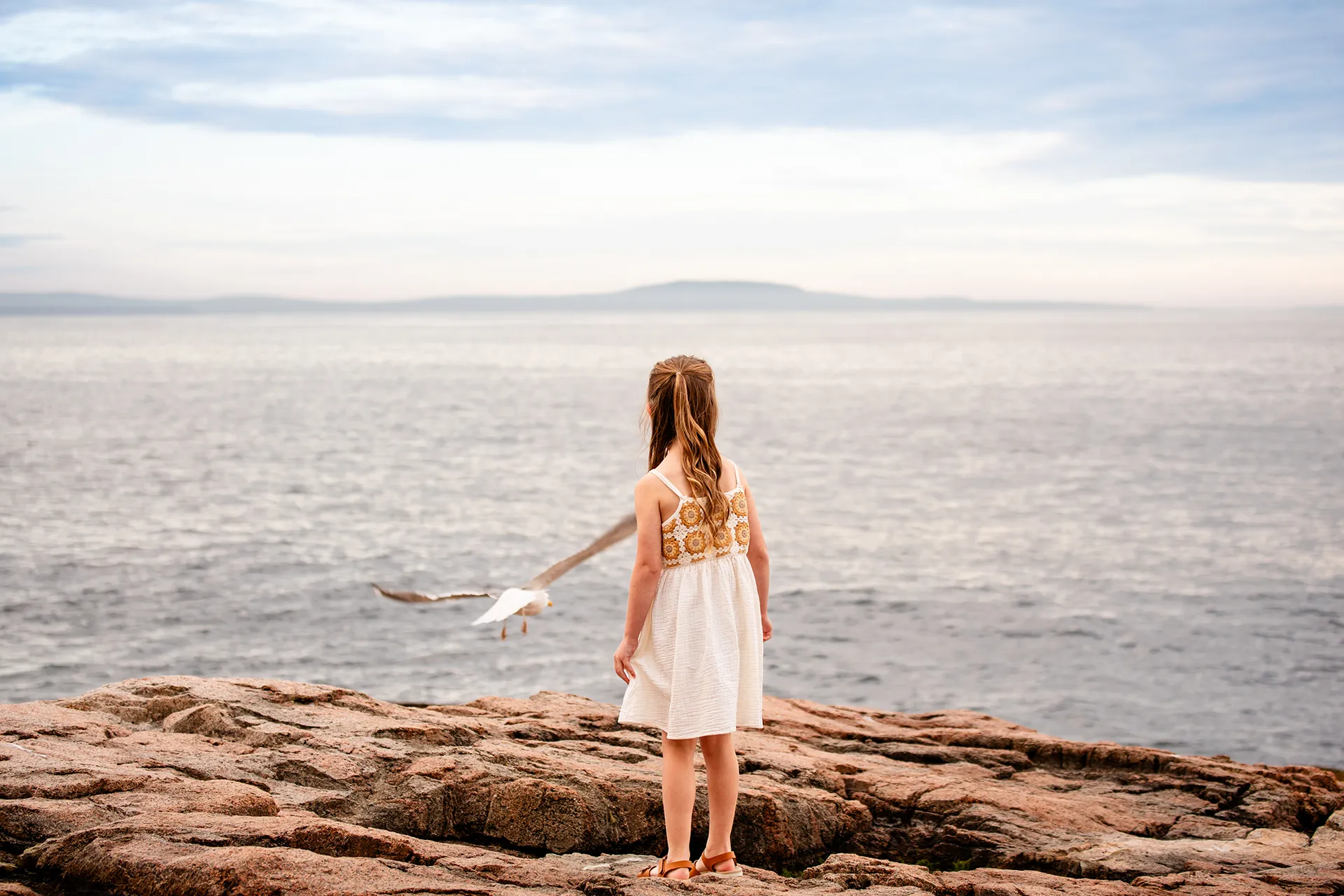 A girl watches a seagull during family portraits at Acadia National Park in Bar Harbor, Maine.