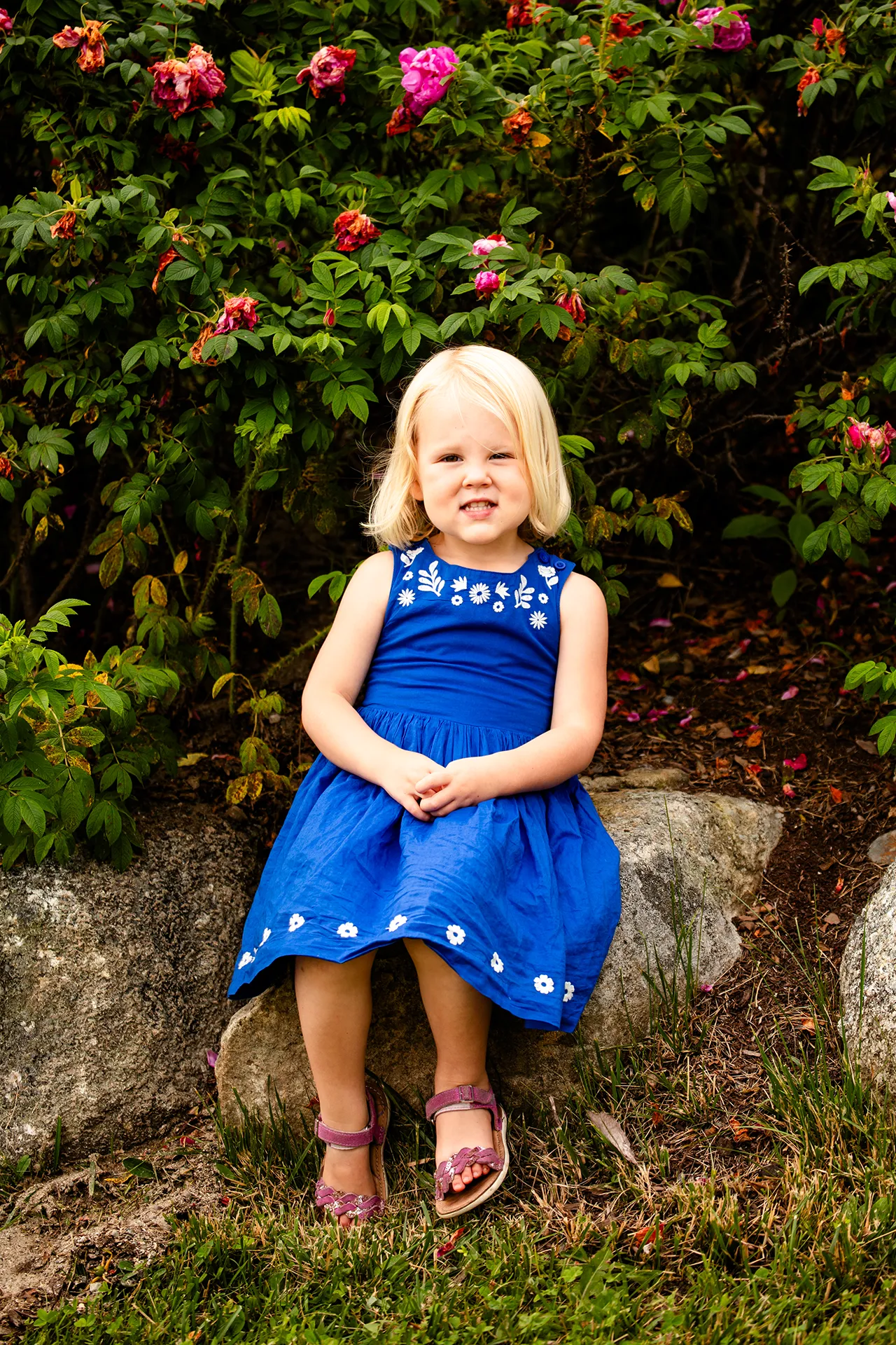 maine family photography moldawer mandsager 16 A young girl sits and smiles during a family portrait session in Lamoine, Maine.