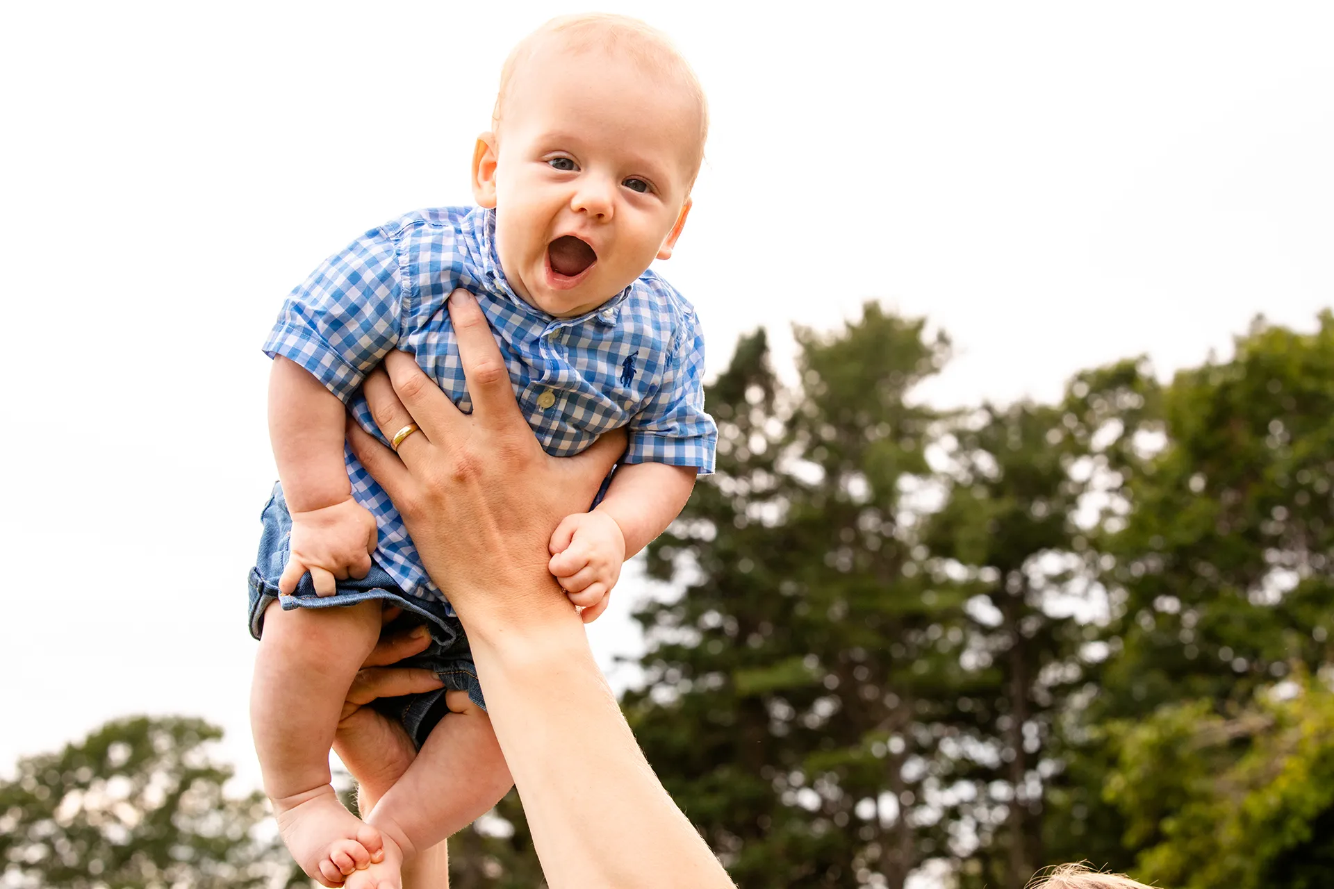 maine family photography moldawer mandsager 22 A young boy smiles as he's lifted into the air during a family portrait session in Lamoine, Maine.