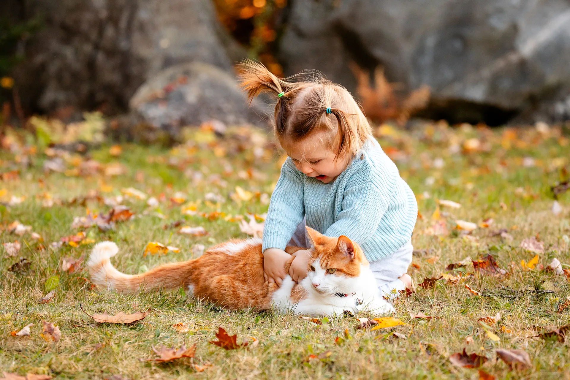 maine family photography sleeper wolland 18 A girl pats a cat during a fall family portrait session near Bangor, Maine.