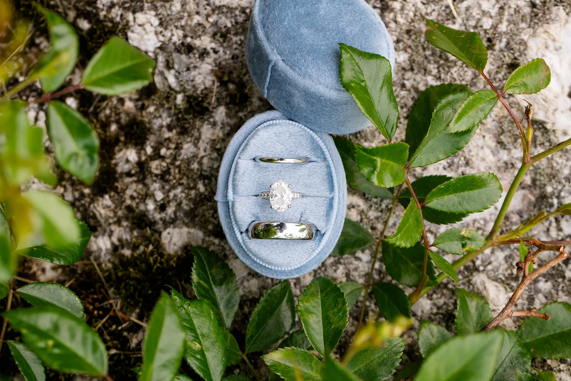 A closeup of a diamond engagement and two white gold wedding rings sitting in a blue ring box with leaves around it at the Bar Harbor Inn and Spa.