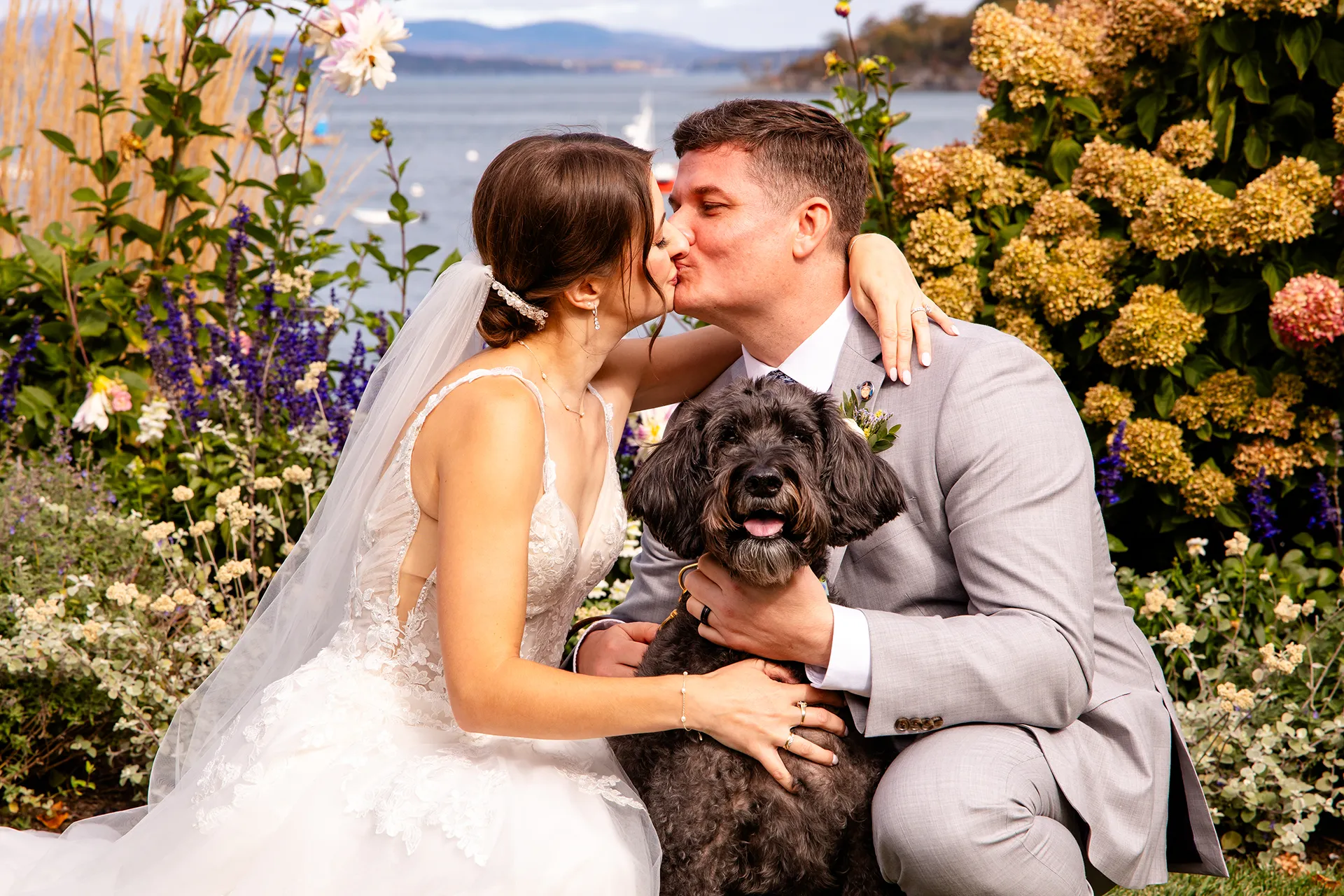 A bride and groom kiss while posing with their Goldendoodle in front at the Bar Harbor Inn and Spa near Acadia National Park in Maine.