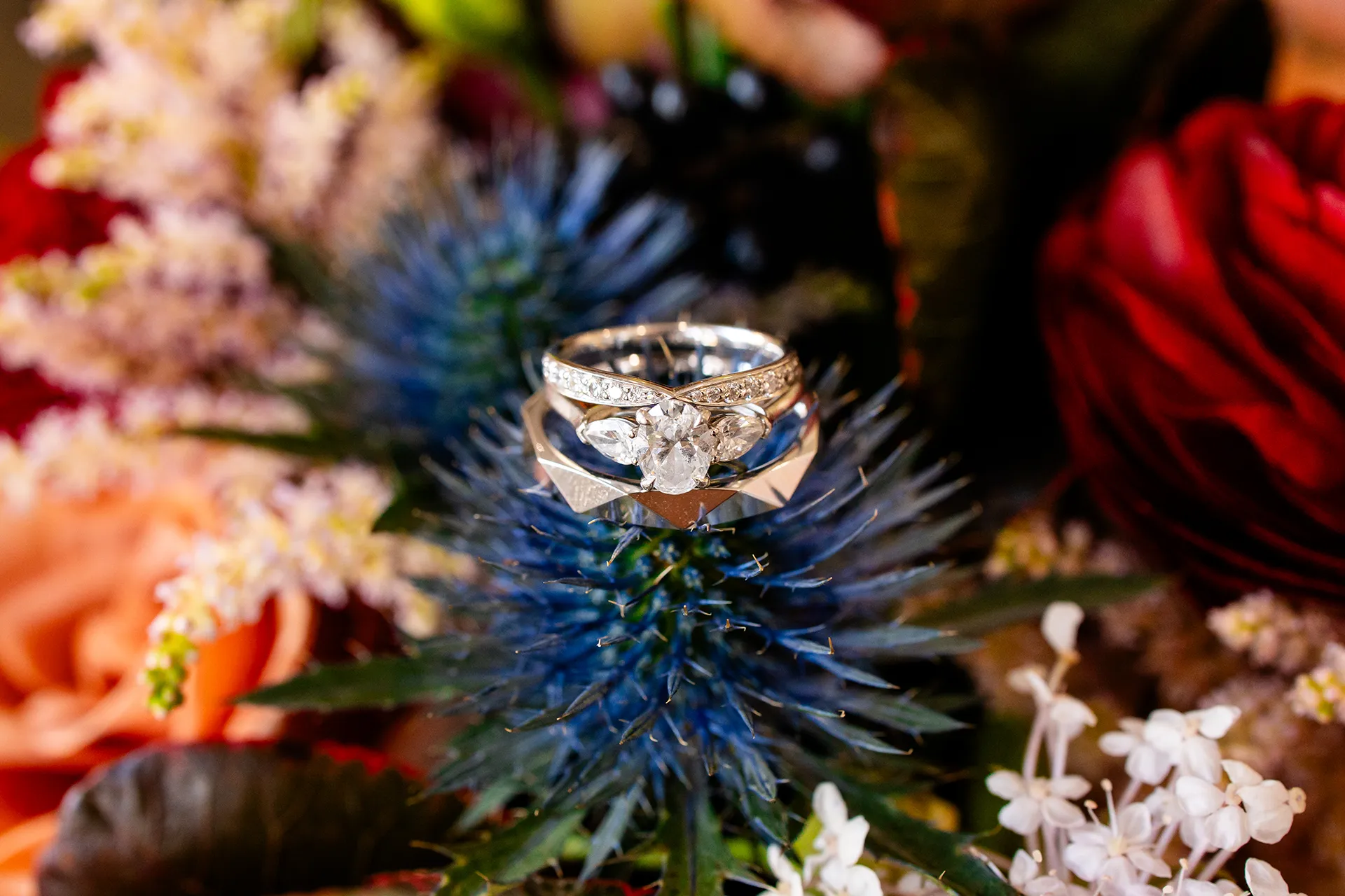A closeup of white gold wedding rings sitting in a bouquet of flowers at the Bar Harbor Club near Acadia National Park in Maine.