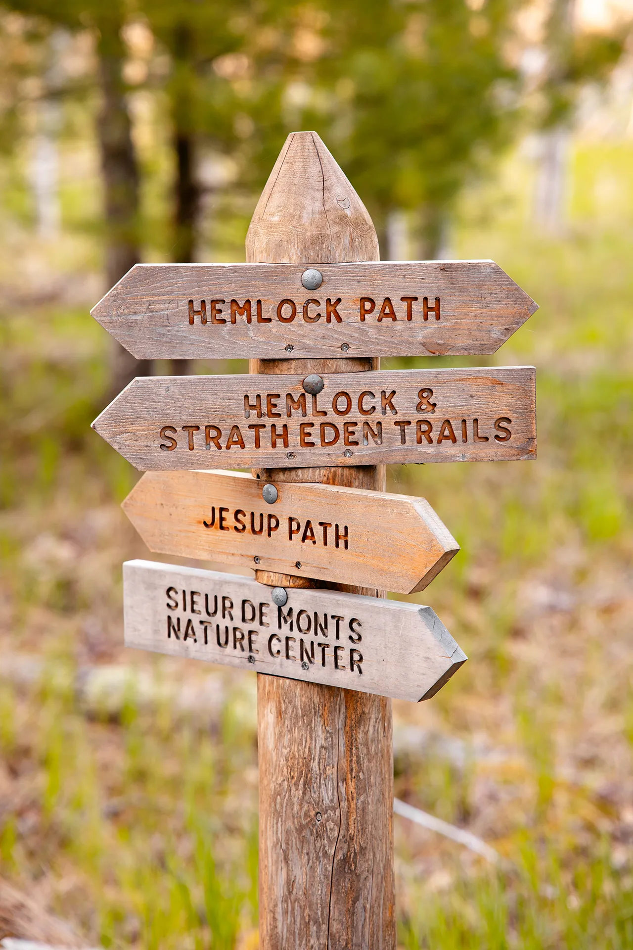 maine wedding photography mystic andrew 19 A closeup of the path signs at the Sieur de Monts Nature Center in Acadia National Park near Bar Harbor, Maine.