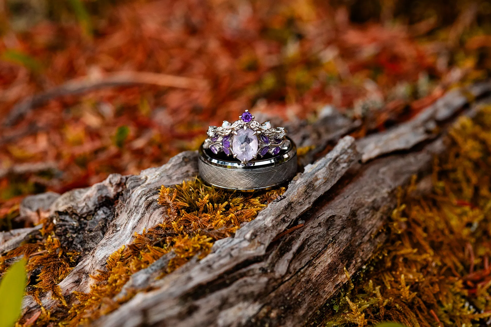 maine wedding photography mystic andrew 27 A closeup of a silver wedding ring with a diamond and purple topaz wedding band sitting inside it in Acadia National Park, Bar Harbor, Maine.